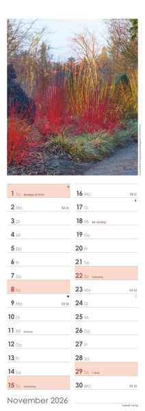 Produktbild: Gartenzauber 2026 - Streifenkalender 15x42 cm - mit viel Platz für Eintragungen - Gärten - Bildkalender - Wandplaner - Gartenkalender