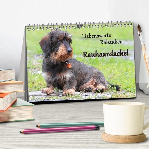 Produktbild: Liebenswerte Rabauken Rauhaardackel / CH-Version (Tischkalender 2026 DIN A5 quer), CALVENDO Monatskalender