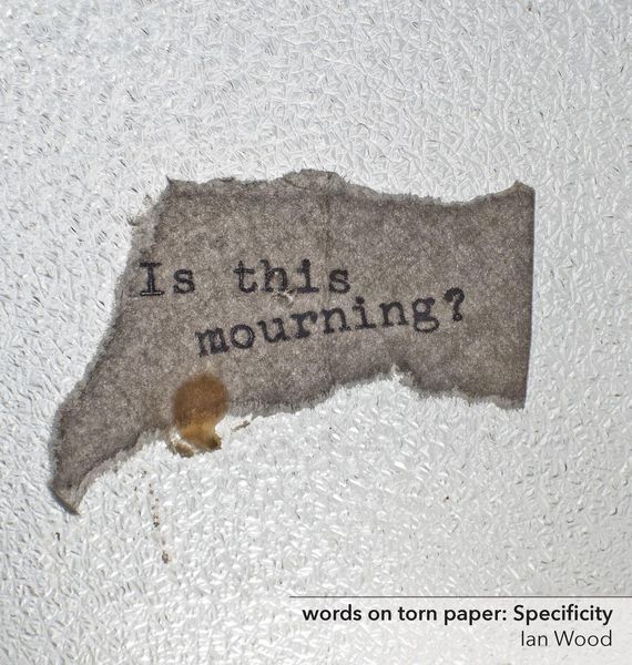 Produktbild: words on torn paper