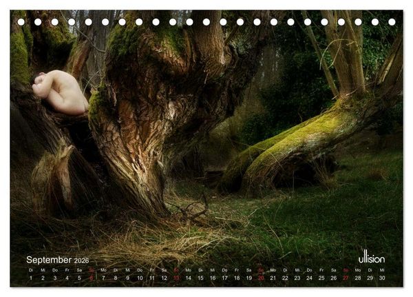 Produktbild: Lieblingsb&auml;ume - eins mit der Natur (Tischkalender 2026 DIN A5 quer), CALVENDO Monatskalender