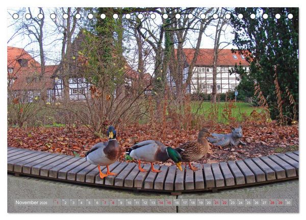 Produktbild: Bad Sassendorf (Tischkalender 2026 DIN A5 quer), CALVENDO Monatskalender