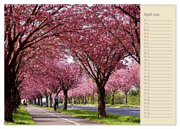 Produktbild: Magdeburg an der Elbe 2026 (Wandkalender 2026 DIN A2 quer), CALVENDO Monatskalender