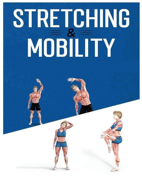 Produktbild: Stretching for Beginners