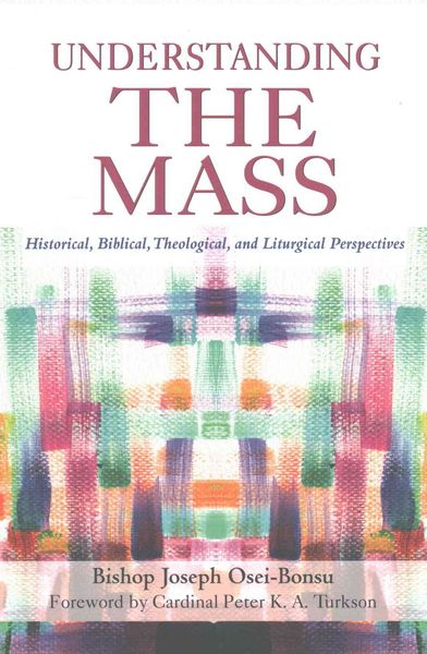 Produktbild: Understanding the Mass