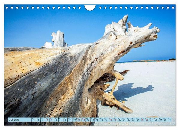 Produktbild: Das Element Holz - Ein Sinnbild (Wandkalender 2026 DIN A4 quer), CALVENDO Monatskalender