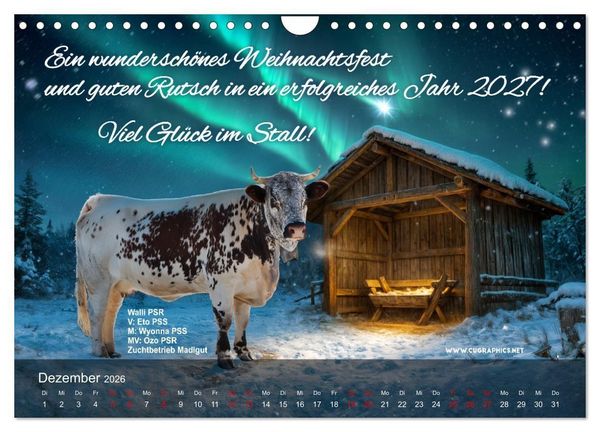 Produktbild: Pustertaler Sprinzen und Schecken 2026 (Wandkalender 2026 DIN A4 quer), CALVENDO Monatskalender