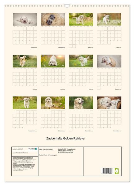 Produktbild: Zauberhafte Golden Retriever (Wandkalender 2026 DIN A2 hoch), CALVENDO Monatskalender