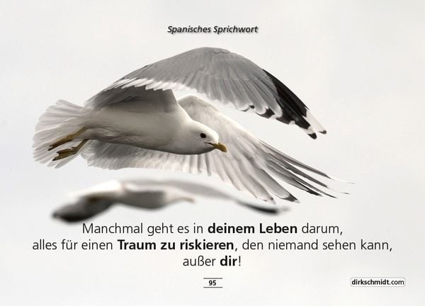 Produktbild: MUTivationsbox 2 - 101 Zitate auf Designerpostkarten für deine Motivation