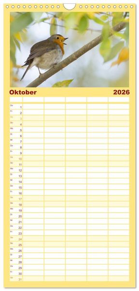 Produktbild: Familienplaner 2026 - Geliebtes Rotkehlchen mit 5 Spalten (Wandkalender, 21 x 45 cm) CALVENDO