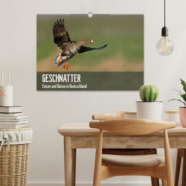 Produktbild: Geschnatter - Enten und G&auml;nse in Deutschland (Wandkalender 2026 DIN A3 quer), CALVENDO Monatskalender