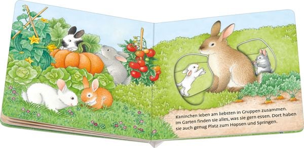 Produktbild: Muh, was frisst die Kuh?