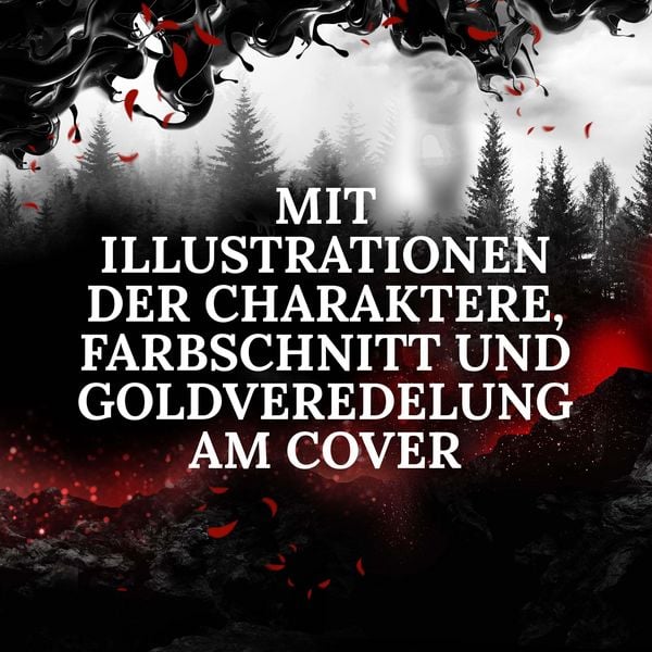 Dreamcatcher | Shadowfall (Band 6)