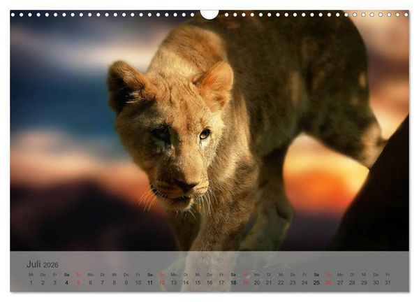 Produktbild: Afrikas sch&ouml;ne Tierwelt (Wandkalender 2026 DIN A3 quer), CALVENDO Monatskalender