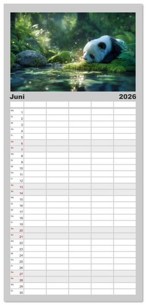 Produktbild: Familienplaner 2026 - Schwarz auf Wei&szlig; - Der Panda-Kalender mit 5 Spalten (Wandkalender, 21 x 45 cm) CALVENDO