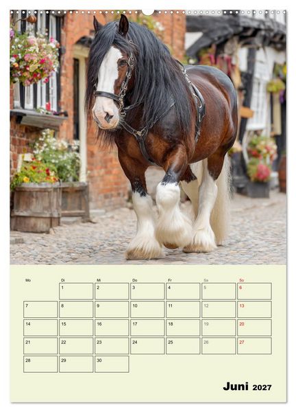 Produktbild: Shire Horse Magie. Englands sanfte Giganten (Wandkalender 2027 DIN A2 hoch), CALVENDO Monatskalender