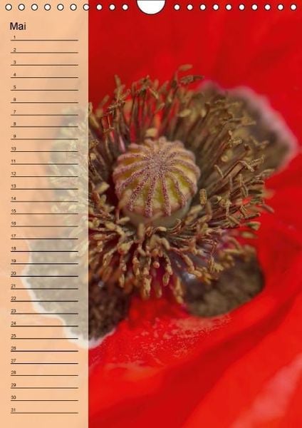 Produktbild: Immerw&auml;hrender Geburtstagskalender - Bl&uuml;tentr&auml;ume (Wandkalender immerw&auml;hrend DIN A4 hoch)