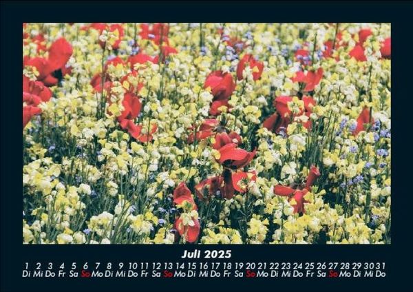 Produktbild: Blumentr&auml;ume 2025 Fotokalender DIN A5
