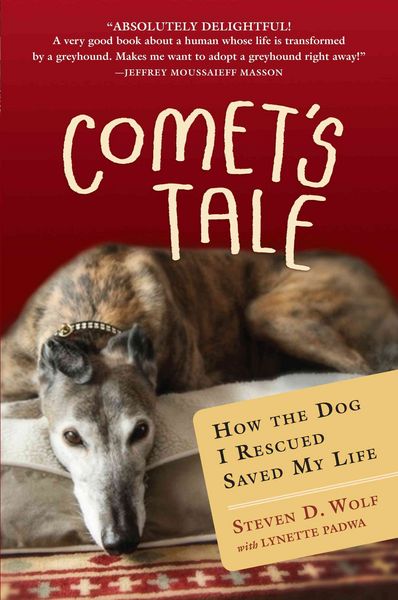 Produktbild: Comets Tale
