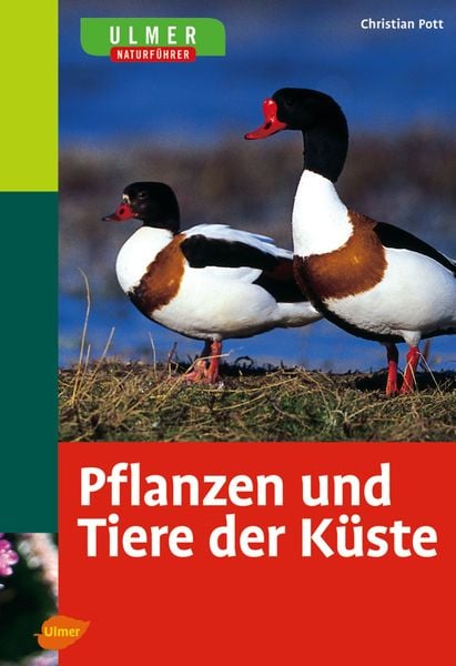 Ulmer Naturführer Pflanzen und Tiere der Küste, Taschenbuch von Christian Pott, Verlag Eugen Ulmer, 978-3-8001-4890-5