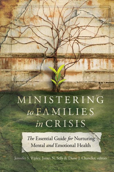 Produktbild: Ministering to Families in Crisis
