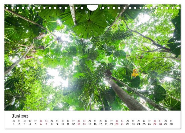 Produktbild: Australiens Sch&ouml;nheit (Wandkalender 2026 DIN A4 quer), CALVENDO Monatskalender