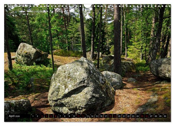 Produktbild: Tiveden, der NatURWALD in Schweden (Wandkalender 2026 DIN A3 quer), CALVENDO Monatskalender