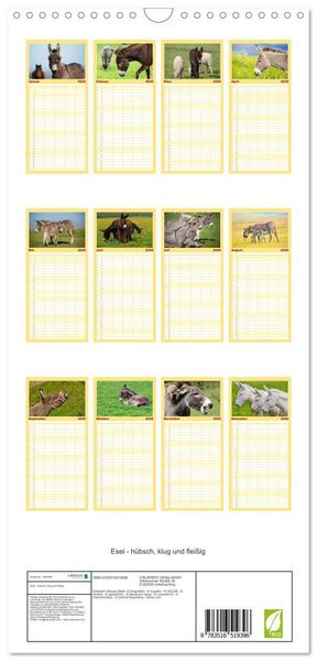 Produktbild: Familienplaner 2026 - Esel - h&uuml;bsch, klug und flei&szlig;ig mit 5 Spalten (Wandkalender, 21 x 45 cm) CALVENDO