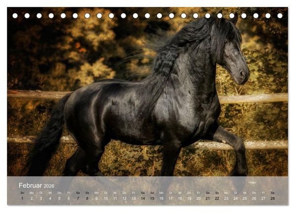 Produktbild: Pferde - Anmut und St&auml;rke gepaart mit Magie (Tischkalender 2026 DIN A5 quer), CALVENDO Monatskalender