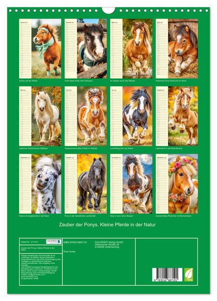 Produktbild: Zauber der Ponys. Kleine Pferde in der Natur (Wandkalender 2026 DIN A3 hoch), CALVENDO Monatskalender