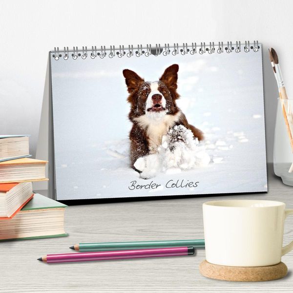 Produktbild: Border Collies (Tischkalender 2026 DIN A5 quer), CALVENDO Monatskalender
