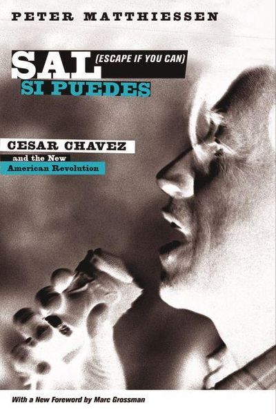Produktbild: Sal Si Puedes (Escape If You Can)