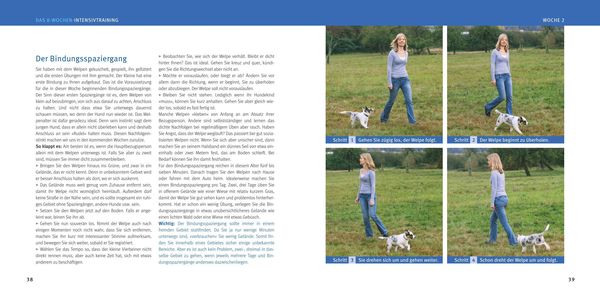 Produktbild: Welpen-Erziehung