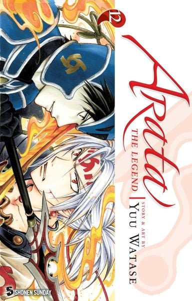 Produktbild: Arata: The Legend, Vol. 12