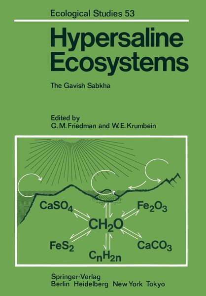 Produktbild: Hypersaline Ecosystems