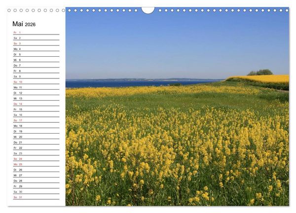 Produktbild: Insel &AElig;r&oslash; - Perle der D&auml;nischen S&uuml;dsee (Wandkalender 2026 DIN A3 quer), CALVENDO Monatskalender