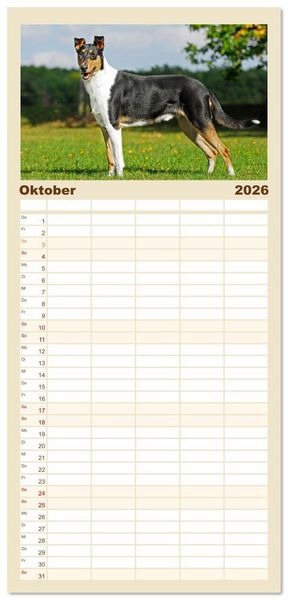 Produktbild: Familienplaner 2026 - Ein Freund f&uuml;rs Leben - Smooth Collie mit 5 Spalten (Wandkalender, 21 x 45 cm) CALVENDO