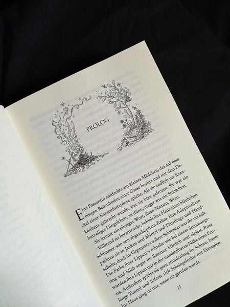 Produktbild: Elfenerbe &ndash; Der gestohlene Thron