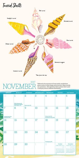 Produktbild: Searching for Seashells Mini Wall Calendar 2027