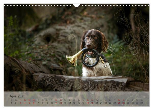 Produktbild: Der kleine M&uuml;nsterl&auml;nder (Wandkalender 2026 DIN A3 quer), CALVENDO Monatskalender