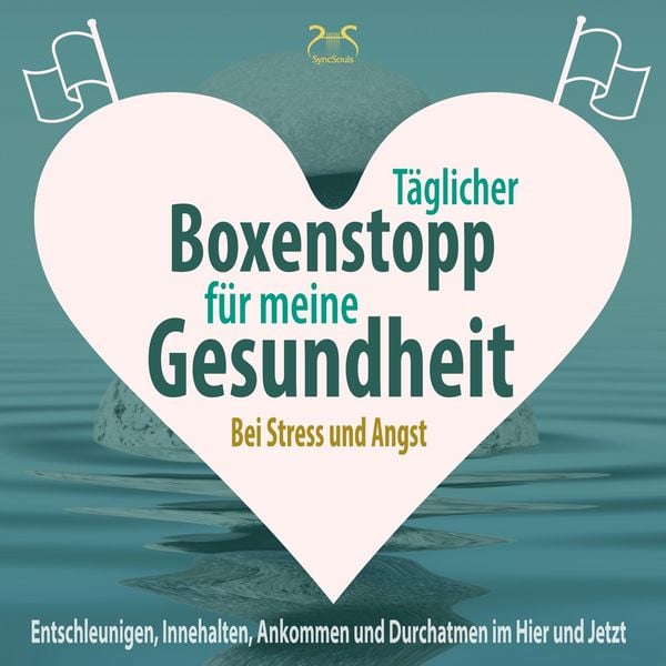 Täglicher Boxenstopp für meine Gesundheit! Entschleunigen, Innehalten, Ankommen und Durchatmen im Hier und Jetzt - Torsten Abrolat,Franziska Diesmann,
