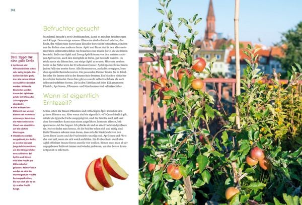 Produktbild: Mein wundervoller Naschbalkon