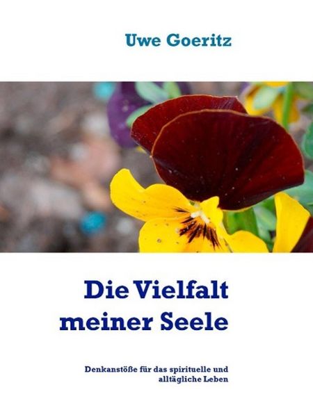 Produktbild: Die Vielfalt meiner Seele
