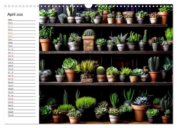 Produktbild: Cacti Wonderland (Wall Calendar 2026 DIN A3 landscape), CALVENDO 12 Month Wall Calendar