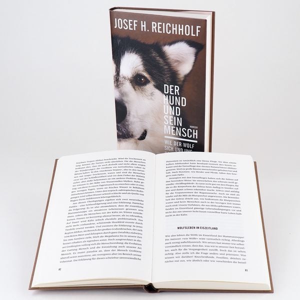 Produktbild: Der Hund und sein Mensch