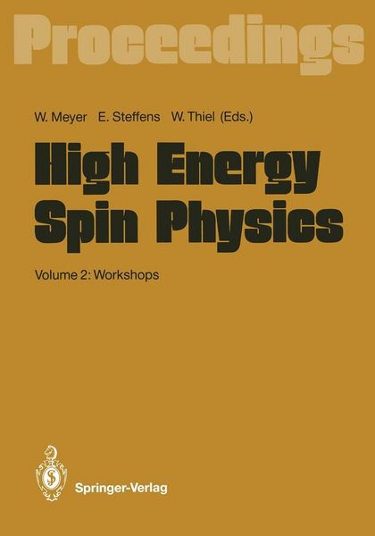 Produktbild: High Energy Spin Physics