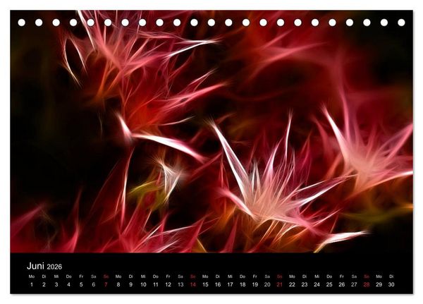 Produktbild: Floral Abstrakt 2026 (Tischkalender 2026 DIN A5 quer), CALVENDO Monatskalender