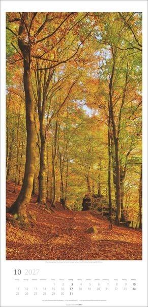 Produktbild: Im Wald Kalender 2027