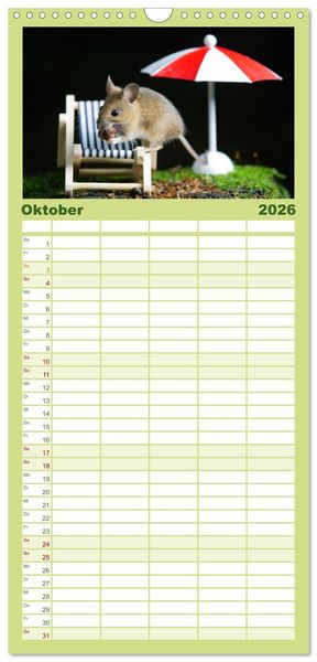 Produktbild: Familienplaner 2026 - Geheimes Waldleben mit 5 Spalten (Wandkalender, 21 x 45 cm) CALVENDO