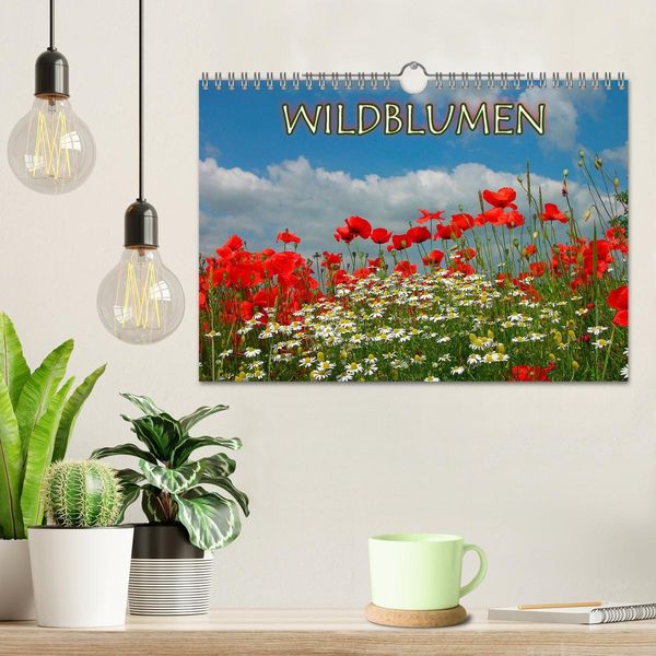 Produktbild: Wildblumen 2026 (Wandkalender 2026 DIN A4 quer), CALVENDO Monatskalender