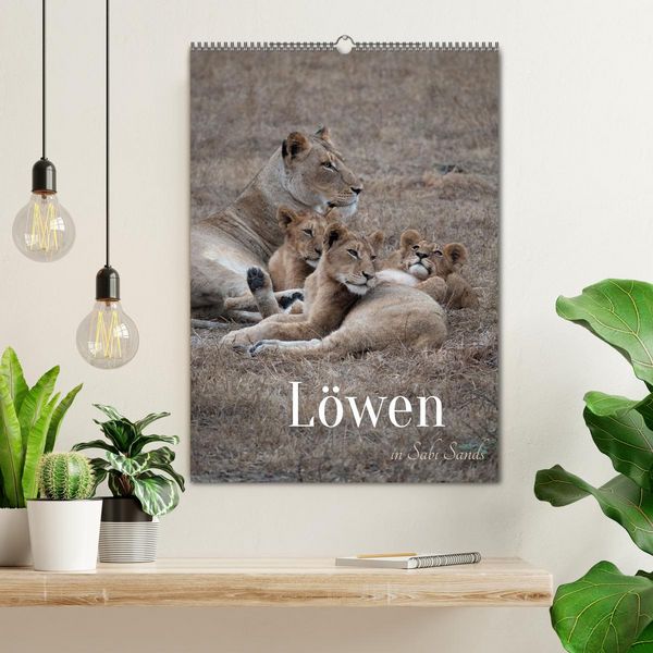 Produktbild: L&ouml;wen in Sabi Sands (Wandkalender 2026 DIN A2 hoch), CALVENDO Monatskalender